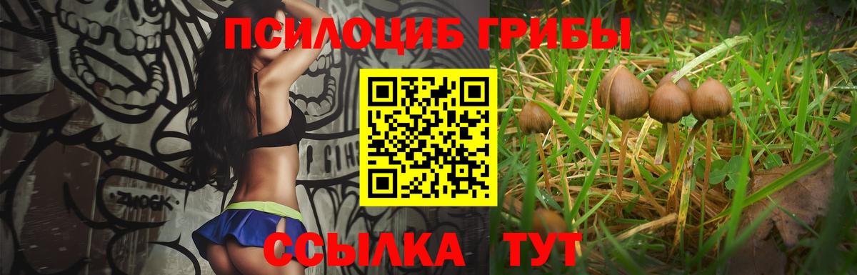 Шелехов  как найти закладки  Вход с VPN  Псилоцибиновые грибы ЛСД 